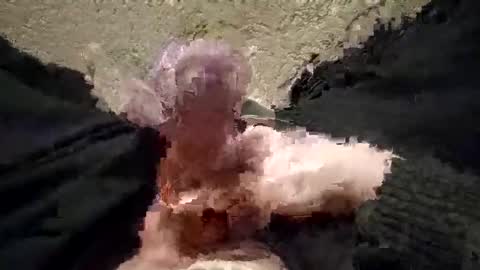 Jastryd online show from December 1, 7:23 pm