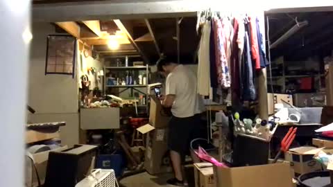 Jaws  online show from November 10, 7:49 pm