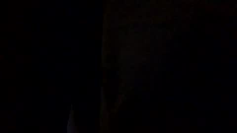 Jaws  online show from January 16, 6:44 am