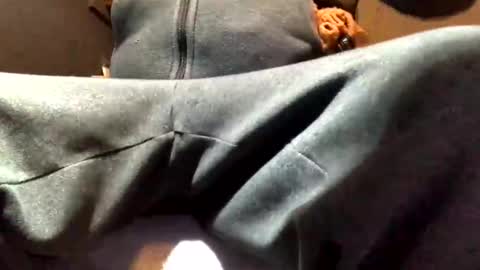 Jaws  online show from February 28, 2:59 am