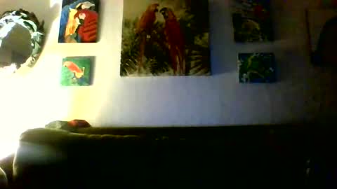 jay-jay1475 online show from February 20, 2:00 am