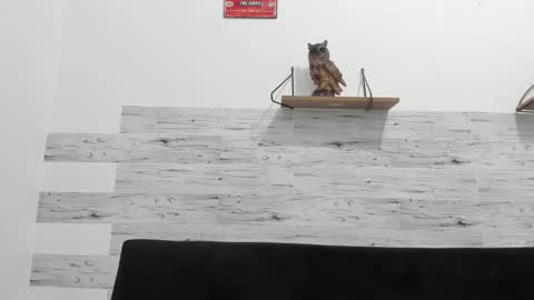 Jaycreedd online show from November 3, 11:50 pm