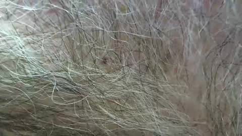 jayjay1949a online show from March 21, 6:56 pm