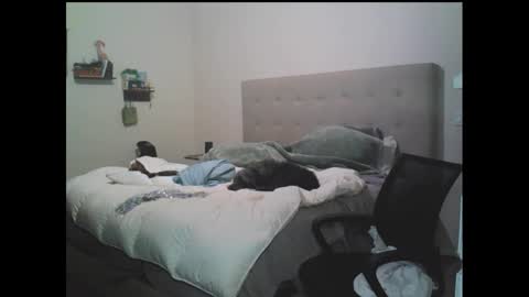 jbayxo619 online show from November 12, 1:24 pm