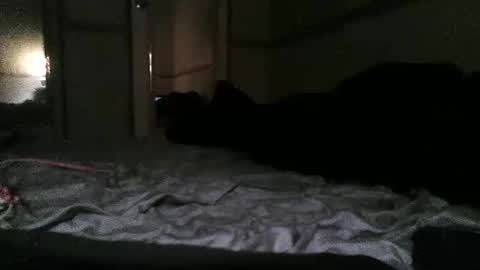 jefrojethro online show from September 13, 9:45 am