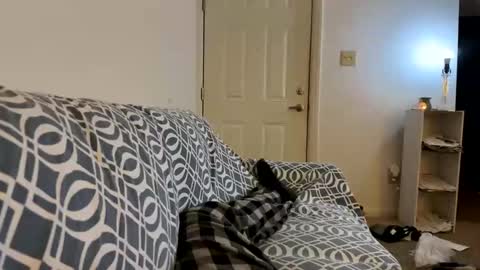 Jerkstar16 online show from February 18, 5:20 am