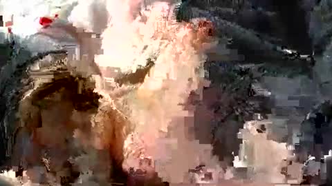 jhnbsomersxh0v1 online show from February 16, 12:03 pm