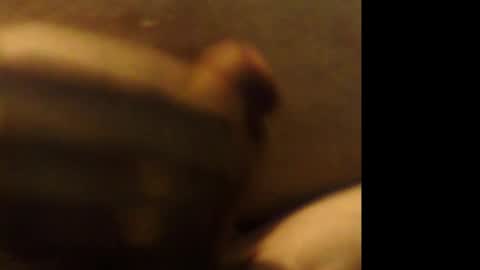 firejoepro2 online show from November 30, 6:53 am