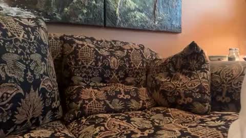 jlk7777 online show from February 28, 4:44 pm