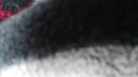 Jimmy online show from February 23, 5:56 am