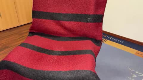 joefoc online show from November 11, 7:27 pm