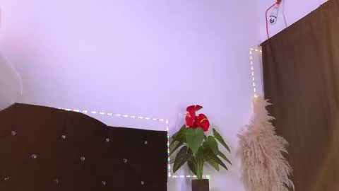 John  online show from February 13, 12:19 pm