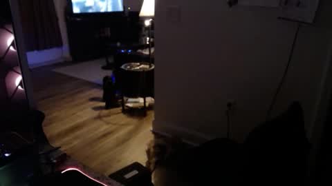 Josef online show from January 14, 11:02 pm