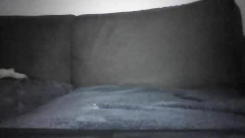 Snapshot of josei_h chatting on December 12, 7:15 pm Hentai Jo online show from December 12, 7:15 pm