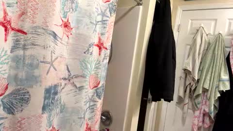 sissy josphine online show from February 3, 3:37 am