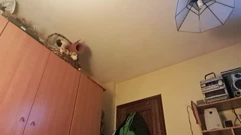 juanka85564456 online show from January 29, 12:43 am