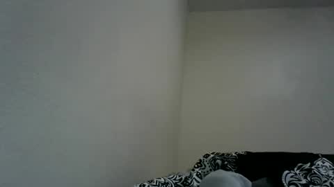 juicybooty863 online show from July 13, 12:25 am