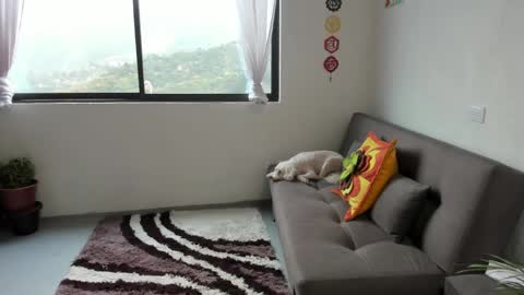 Sofia online show from March 7, 2:34 pm