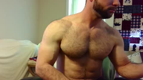 Wolf online show from February 14, 2:54 pm