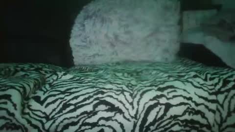 Big Mexican Cock Only For Blonde or Redhead Im NEW online show from October 17, 1:59 pm