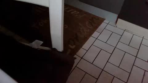 Kev online show from October 31, 8:04 am