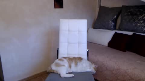 Kathy online show from October 3, 5:16 am