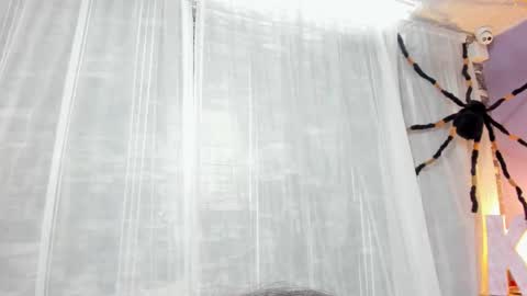 Katie online show from October 24, 7:03 pm