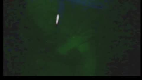 kdogluke online show from December 18, 3:35 am