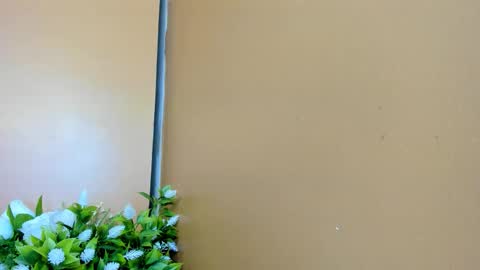 keisy_sanchez online show from January 8, 11:05 am