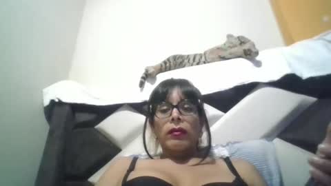 kelly_alisset online show from November 15, 7:32 am