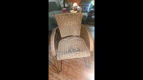 kenhiking online show from January 14, 10:34 am