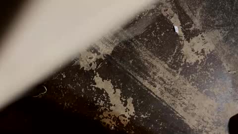 kerrplunk2000 online show from April 19, 9:54 am