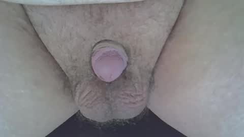 maggot online show from March 7, 8:55 pm