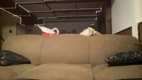 keylime6 online show from November 30, 7:26 am