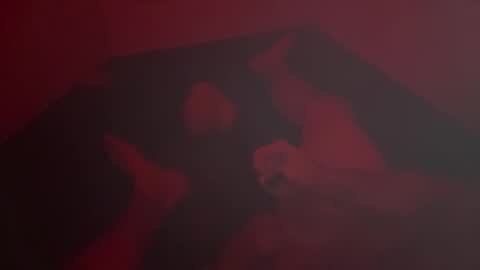 kg1726860 online show from December 3, 2:45 am