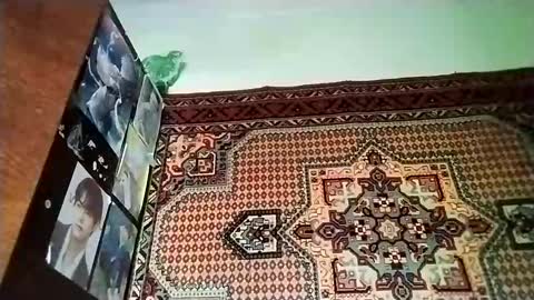 kikibang_ online show from November 20, 8:13 am