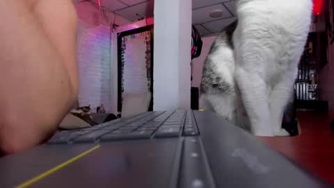 Melany online show from February 1, 12:51 am