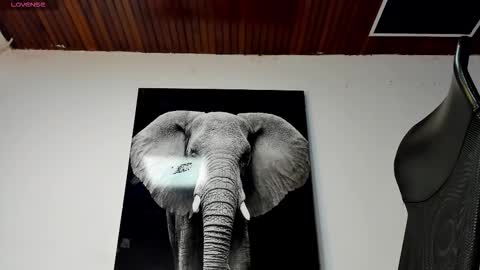 Angel Falconer online show from November 13, 4:59 am