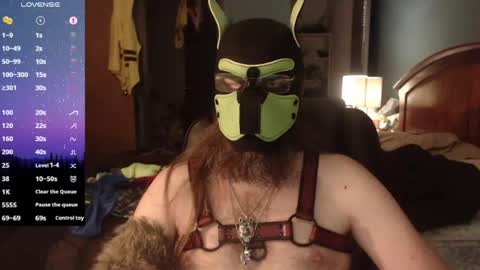kinkywolf87 online show from June 11, 11:58 pm