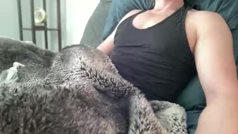 Kirby online show from March 28, 5:25 pm