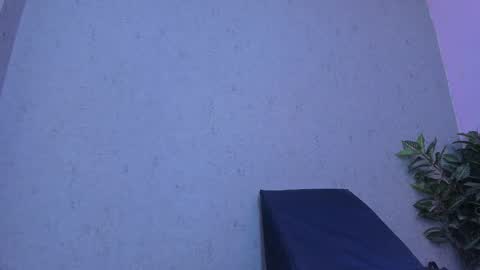 BELLA FLAME online show from February 6, 7:27 pm