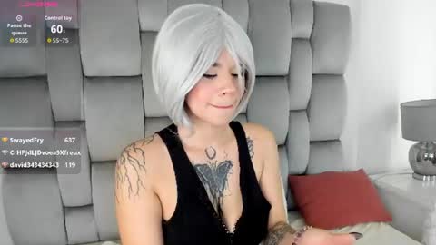 kitty cat 7 online show from July 8, 7:34 am