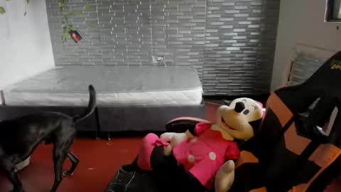 violet online show from September 23, 7:20 pm