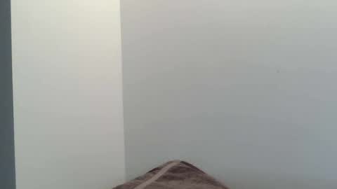 kiwibulge123 online show from June 24, 7:37 am