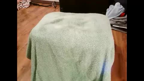 kotek400 online show from January 30, 8:10 pm