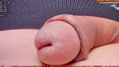 Petra online show from November 28, 8:38 pm