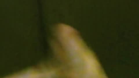 kren565656 online show from July 14, 12:43 pm