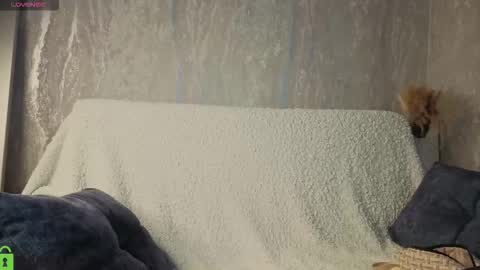 Kvetachka Thu-Sun 0900am-1500pmGTM2 online show from October 6, 3:02 am