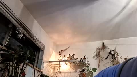 lacybell online show from May 6, 9:26 am