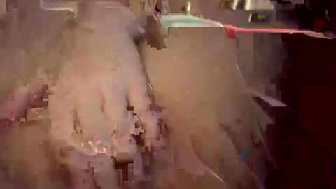 lalaluvsex online show from November 19, 10:58 am